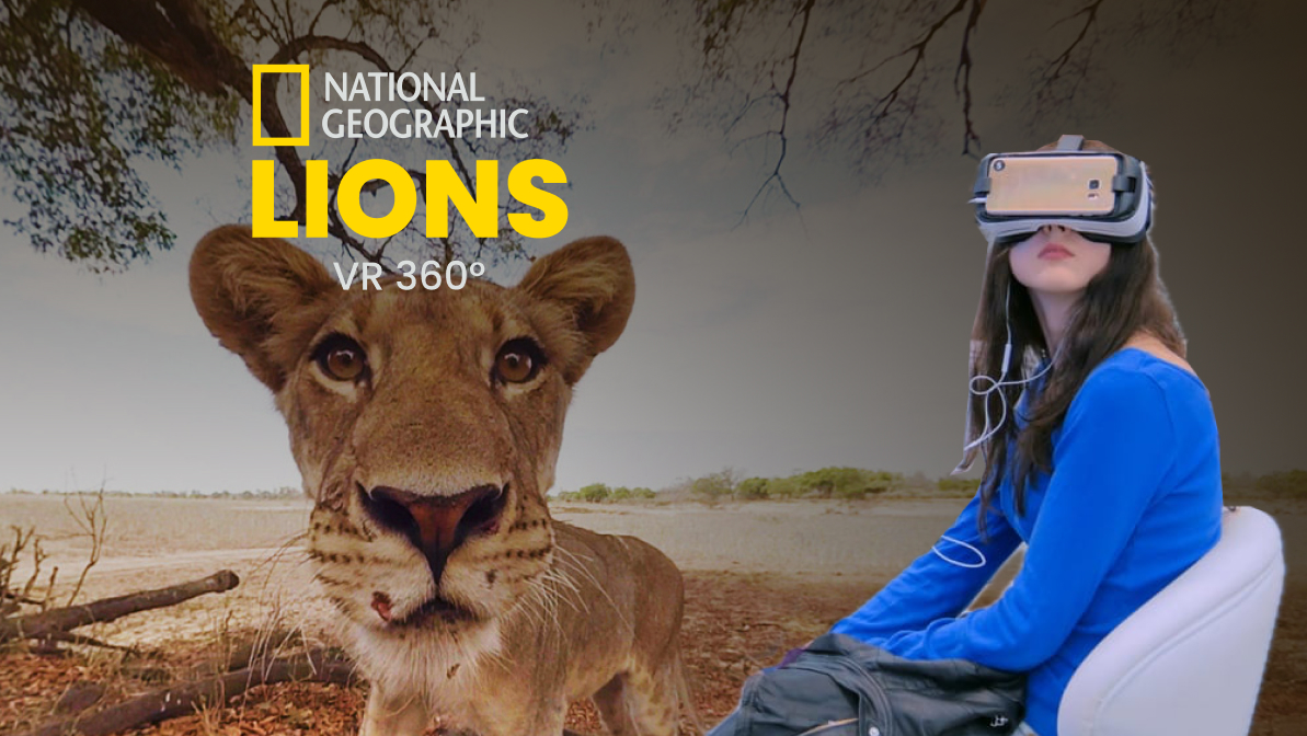 National Geographic természetfilm oroszlánokról